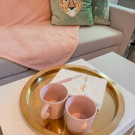 Le Nid Cosy - En Plein Coeur De Appartement Sélestat