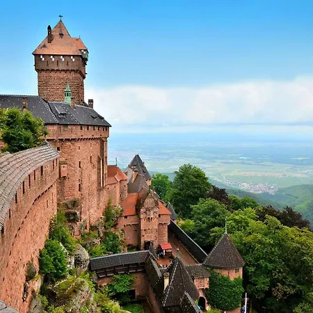 شقة Le Nid Cosy - En Plein Coeur De *