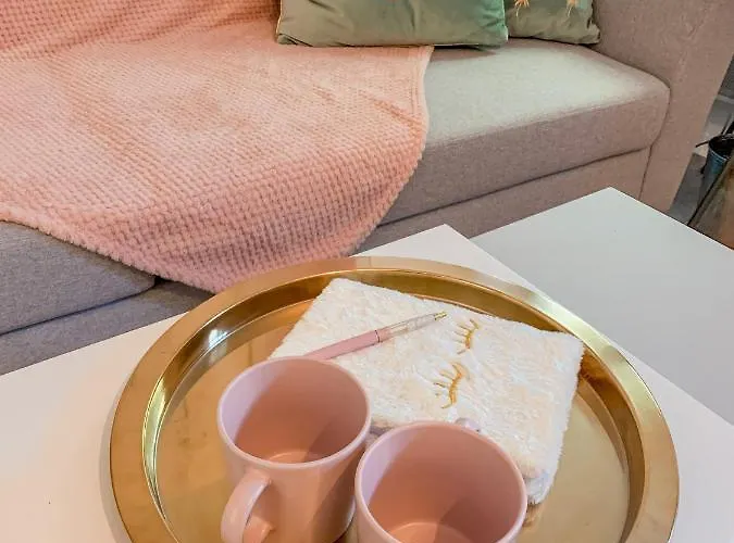 Le Nid Cosy - En Plein Coeur De Appartamento Sélestat